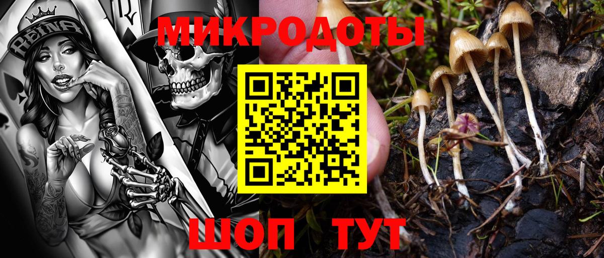 Галлюциногенные грибы прущие грибы  Вход с VPN  как найти   Алапаевск 